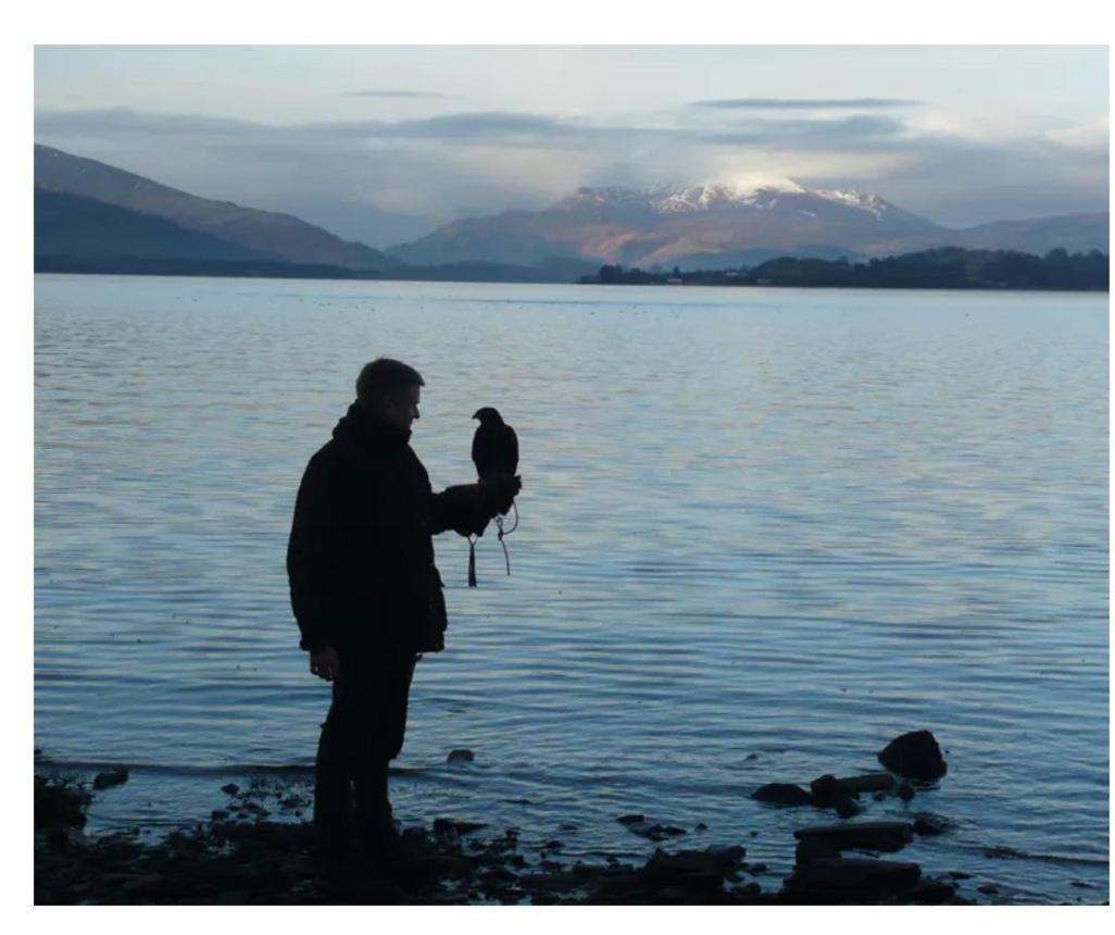 Lodge 14, Cameron House Lodges, Loch Lomond 알렉산드리아 외부 사진
